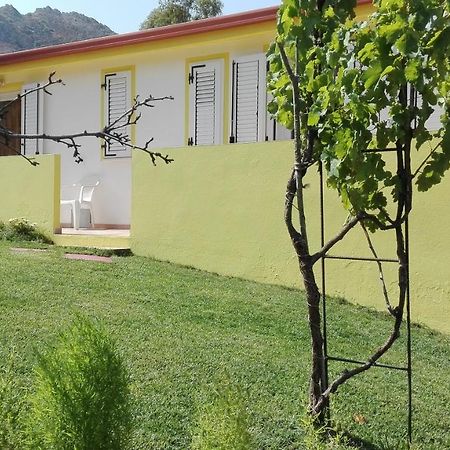 Villa Il Girasole Alloggio Fluminimaggiore Exterior foto