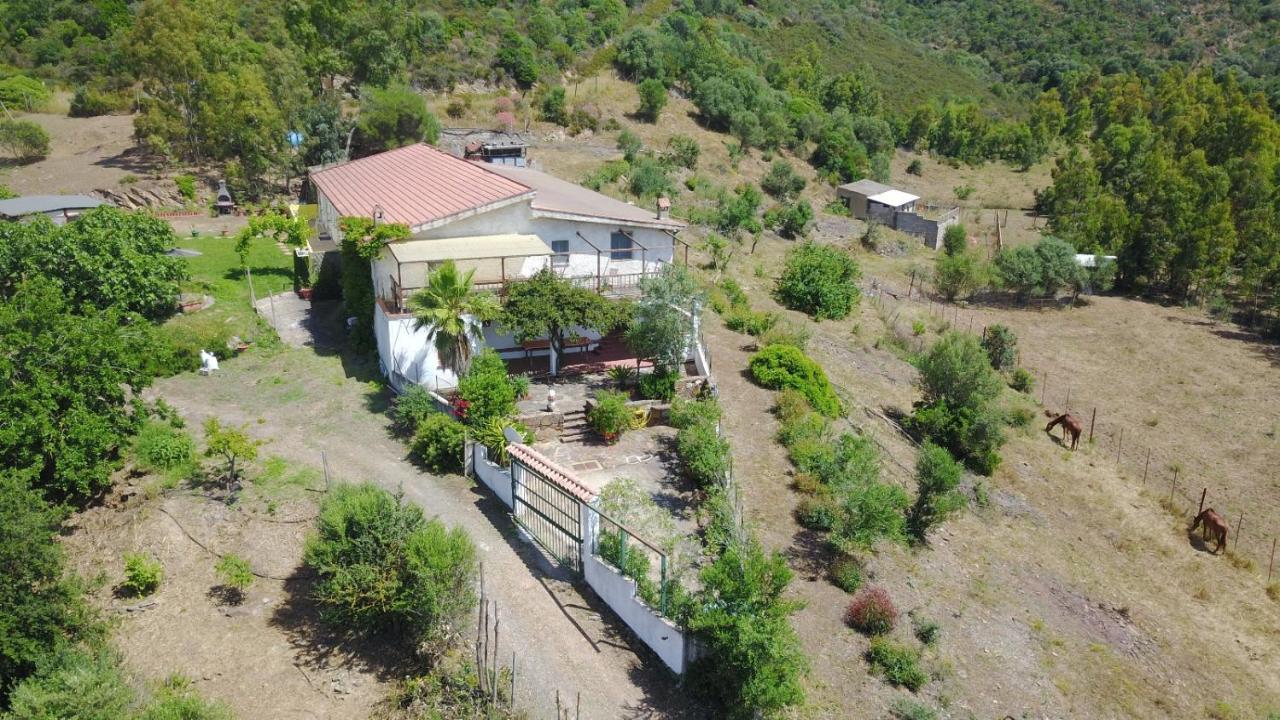 Villa Il Girasole Alloggio Fluminimaggiore Exterior foto